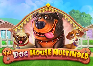 full1688 ล่าสุด The Dog House Multihold ทดลองเล่นฟรี